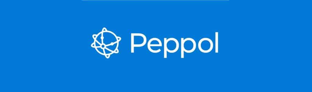 PODCAST: Wat moet je weten over Peppol?